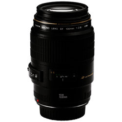 Canon EF 100mm f/2.8 USM Macro Lens